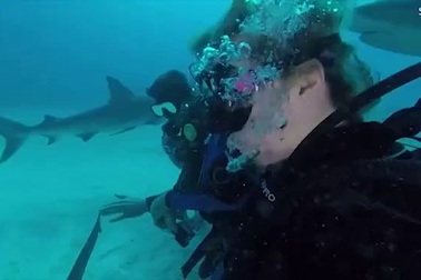 Người biết "làm phép" khiến cá mập hung dữ bỗng ngoan như cún