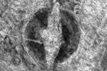 Phát hiện tàu biển cùng nghĩa trang của người Viking bị chôn vùi ở Na Uy