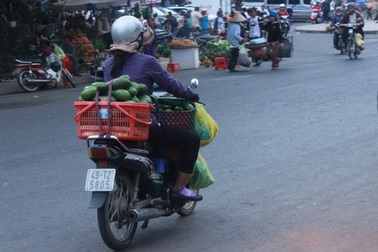 Bơ Lâm Đồng được giá, nông dân mừng ra mặt