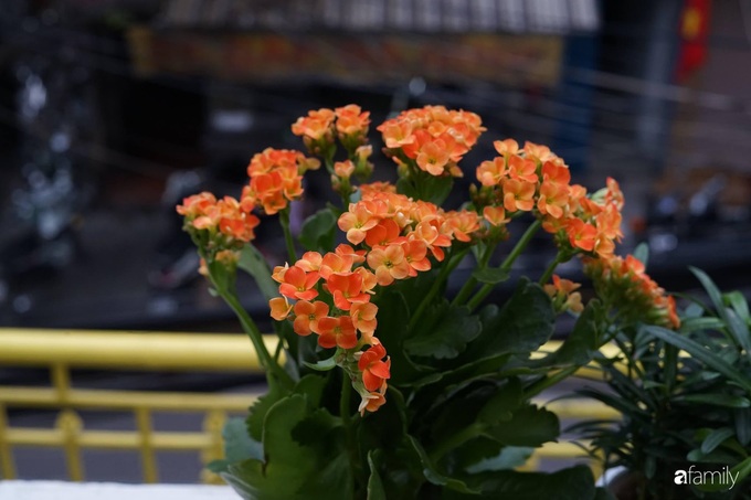 Căn hộ tập thể vàng ươm sắc nắng đẹp mang vẻ hoài cổ ấn tượng ở quận Hoàn Kiếm, Hà Nội - Ảnh 13. Căn hộ tập thể vàng ươm sắc nắng đẹp mang vẻ hoài cổ ấn tượng ở quận Hoàn Kiếm, Hà Nội - Ảnh 13.