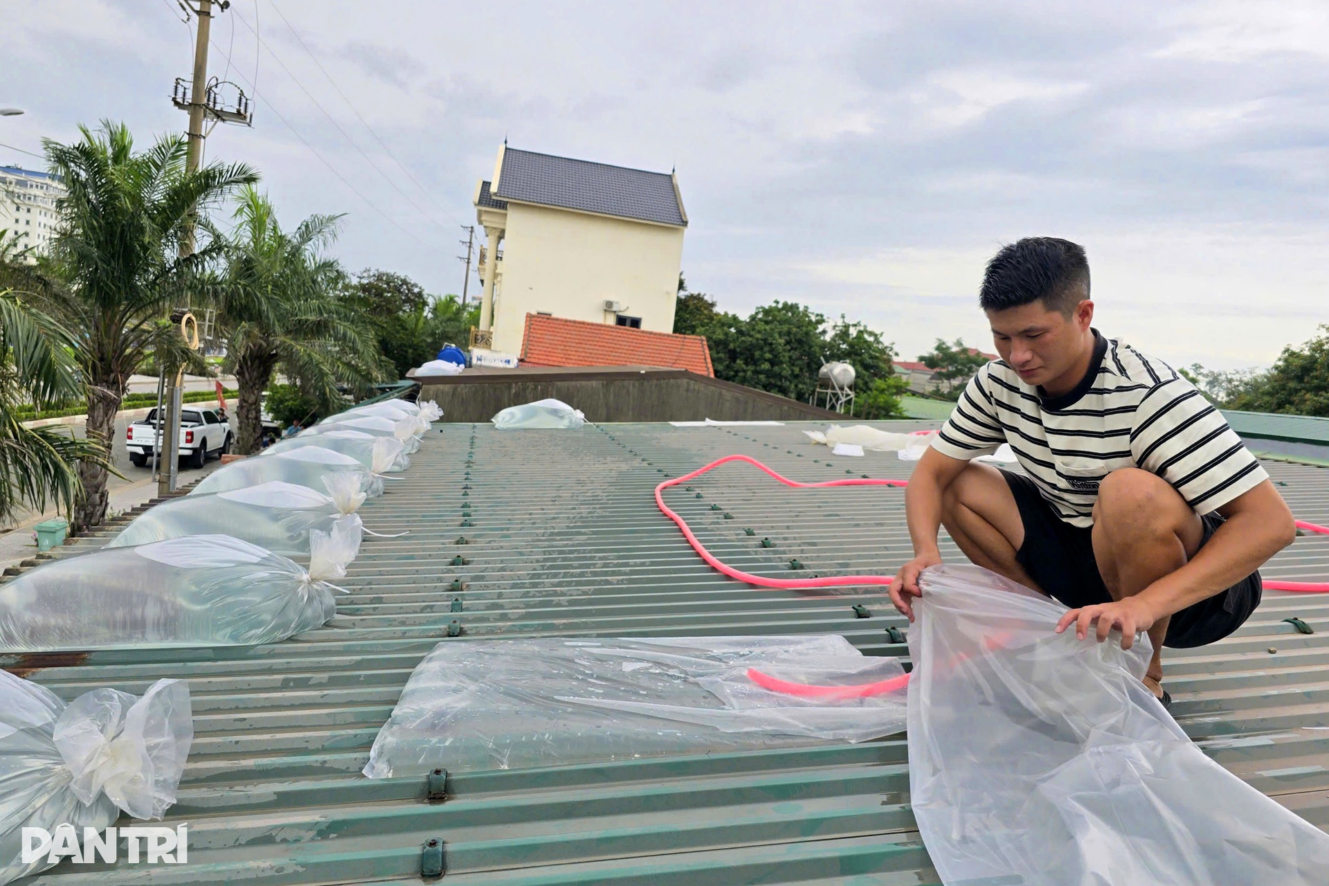 Các tỉnh, thành miền Trung hối hả trước giờ bão Kajiki đổ bộ - 4 Các tỉnh, thành miền Trung hối hả trước giờ bão Kajiki đổ bộ - 4