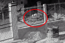 Bắt giữ kẻ giả vờ giúp đỡ người bị tai nạn rồi lấy sạch tài sản