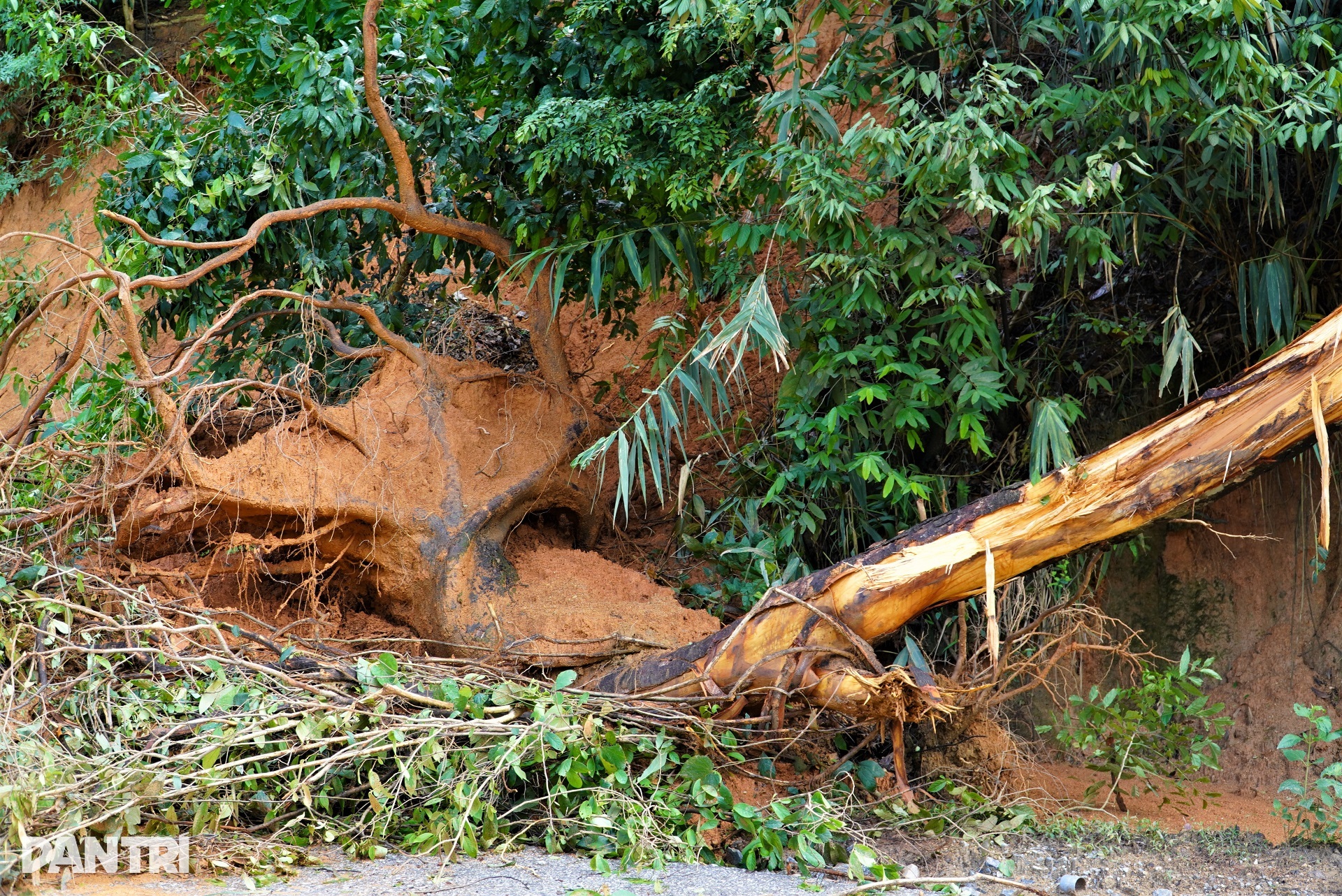 Sạt lở nham nhở trên cung đường từng được mệnh danh đẹp nhất Việt Nam - 3