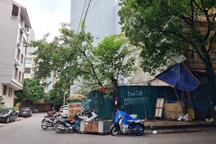 Sau nhiều ồn ào đấu giá đất, Hà Nội có quy định mới tiền đặt cọc