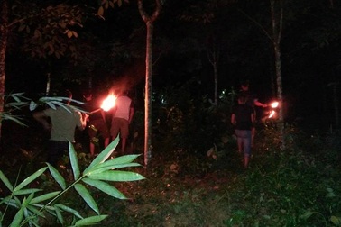 Dân đánh trống khua kẻng xua 6 con voi rừng phá hoại cây cối trong đêm