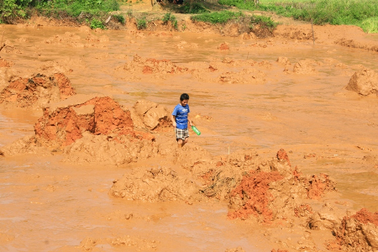 Tạm đình chỉ công ty để xảy ra vụ vỡ đập bùn thải