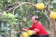 Hỗ trợ toàn diện, đời sống của người nghèo từng bước được cải thiện