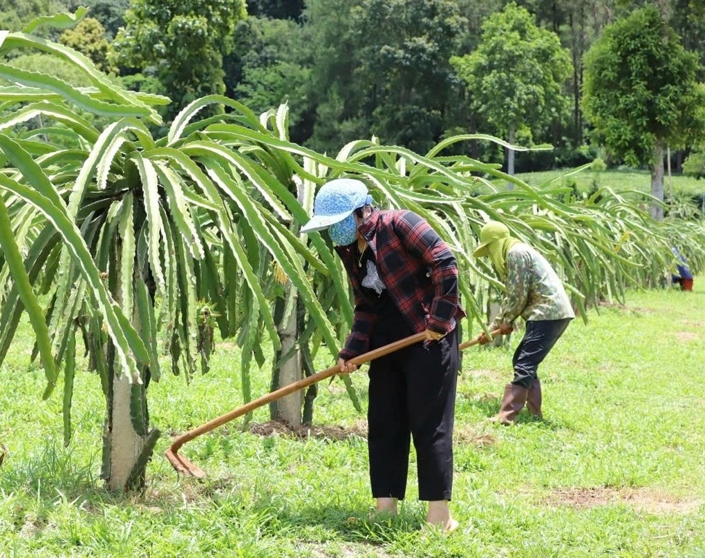 Sơn La: Đời sống người dân tộc thiểu số ngày càng thay da đổi thịt - 1 Sơn La: Đời sống người dân tộc thiểu số ngày càng thay da đổi thịt - 1