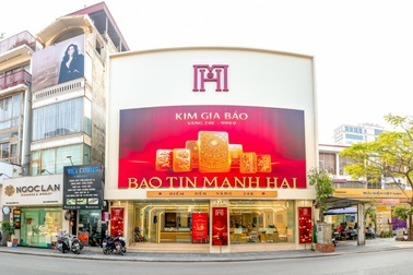Thanh tra chính phủ kết luận về vi phạm ở các công ty kinh doanh vàng bạc