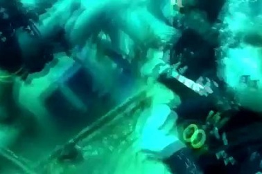 Hãi hùng cảnh thợ lặn bị cá mập cắn vào chỗ hiểm