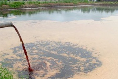 Phạt hành chính tối đa 2 tỷ đồng với vi phạm về môi trường