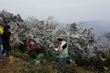 Hình ảnh băng giá tuyệt đẹp ở đỉnh Mẫu Sơn - Lạng Sơn