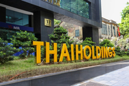 Vì sao sau kiểm toán, lợi nhuận của Thaiholdings lại giảm 28 tỷ đồng?