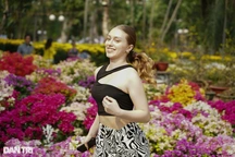 Kết nối, kích cầu du lịch qua chương trình "Việt Nam đi để yêu"