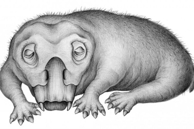 Động vật cổ đại đã biết “ngủ đông” cách đây 250 triệu năm