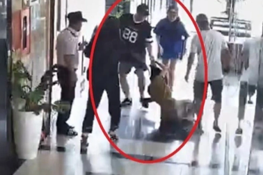 Cựu hoa khôi đánh ghen giùm bị khởi tố, trường chờ kết luận điều tra