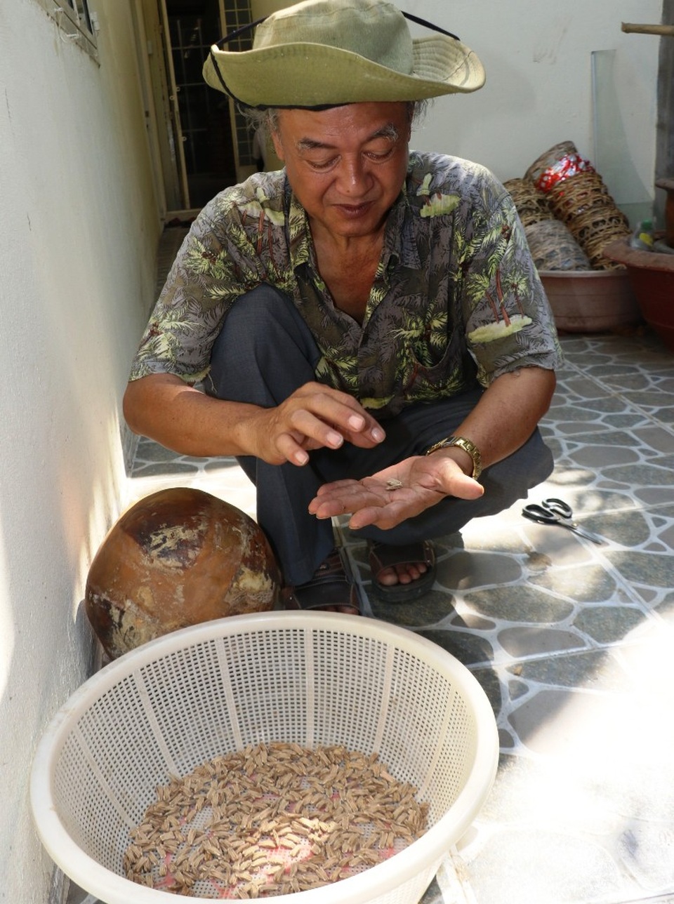 Du khách đổ về chiêm ngưỡng vườn bầu khổng lồ cho trái nặng tới 30kg - 2 Du khách đổ về chiêm ngưỡng vườn bầu khổng lồ cho trái nặng tới 30kg - 2