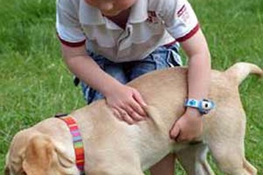 Chơi với chó giúp trẻ tự kỷ giảm căng thẳng