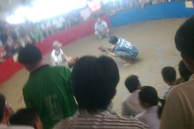 Ngày tết đi casino 