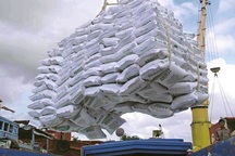 Cục Điều tra chống buôn lậu: Gạo xuất lậu có thể đi qua đường mòn, lối mở