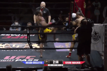 Võ sĩ hạ đối thủ bằng cú đá "lốc xoáy"