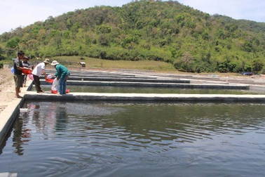 Để doanh nghiệp chặn suối nuôi cá tầm, Chủ tịch và Bí thư xã bị kỷ luật