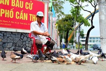 Ông lão độc thân 10 năm "cưu mang" đàn chim trời