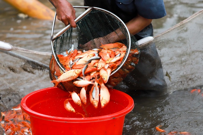 Làng nghề sản xuất phương tiện cho ông Công, ông Táo hối hả thu hoạch - 8