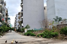 Đua "lướt sóng" nhà đất, nhà đầu tư đứng ngồi không yên vì bị chôn vốn