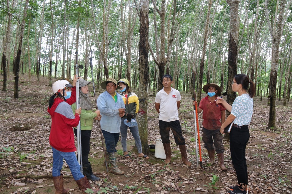 Đến làm thủ tục BHXH một lần, lao động phát hiện bị thiếu số năm đóng - 3 Đến làm thủ tục BHXH một lần, lao động phát hiện bị thiếu số năm đóng - 3