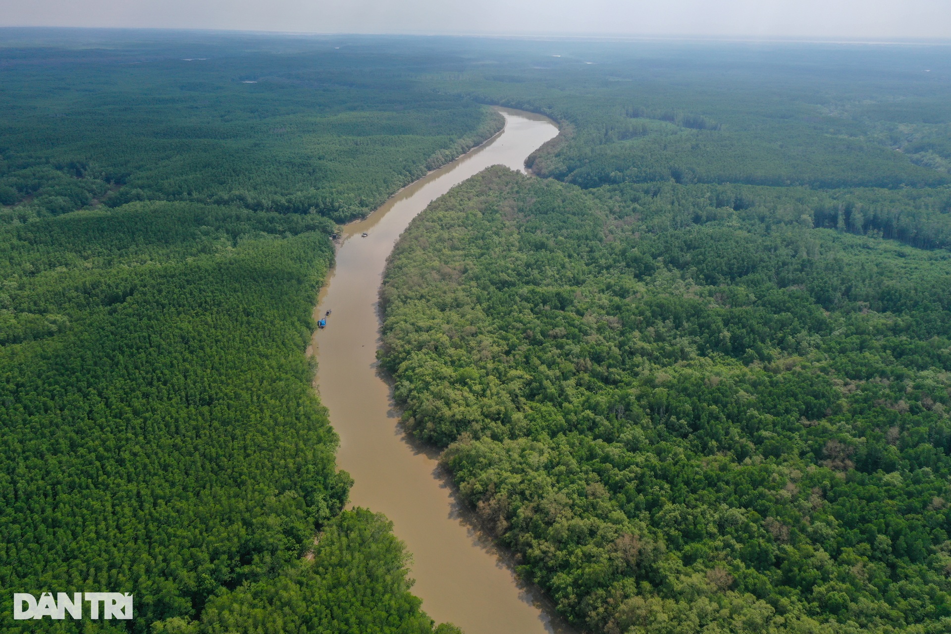 Cận cảnh rừng phòng hộ Cần Giờ được đề cử thành khu Ramsar thế giới - 2 Cận cảnh rừng phòng hộ Cần Giờ được đề cử thành khu Ramsar thế giới - 2