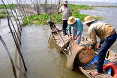 Nhiều người dân có thu nhập khá nhờ lũ