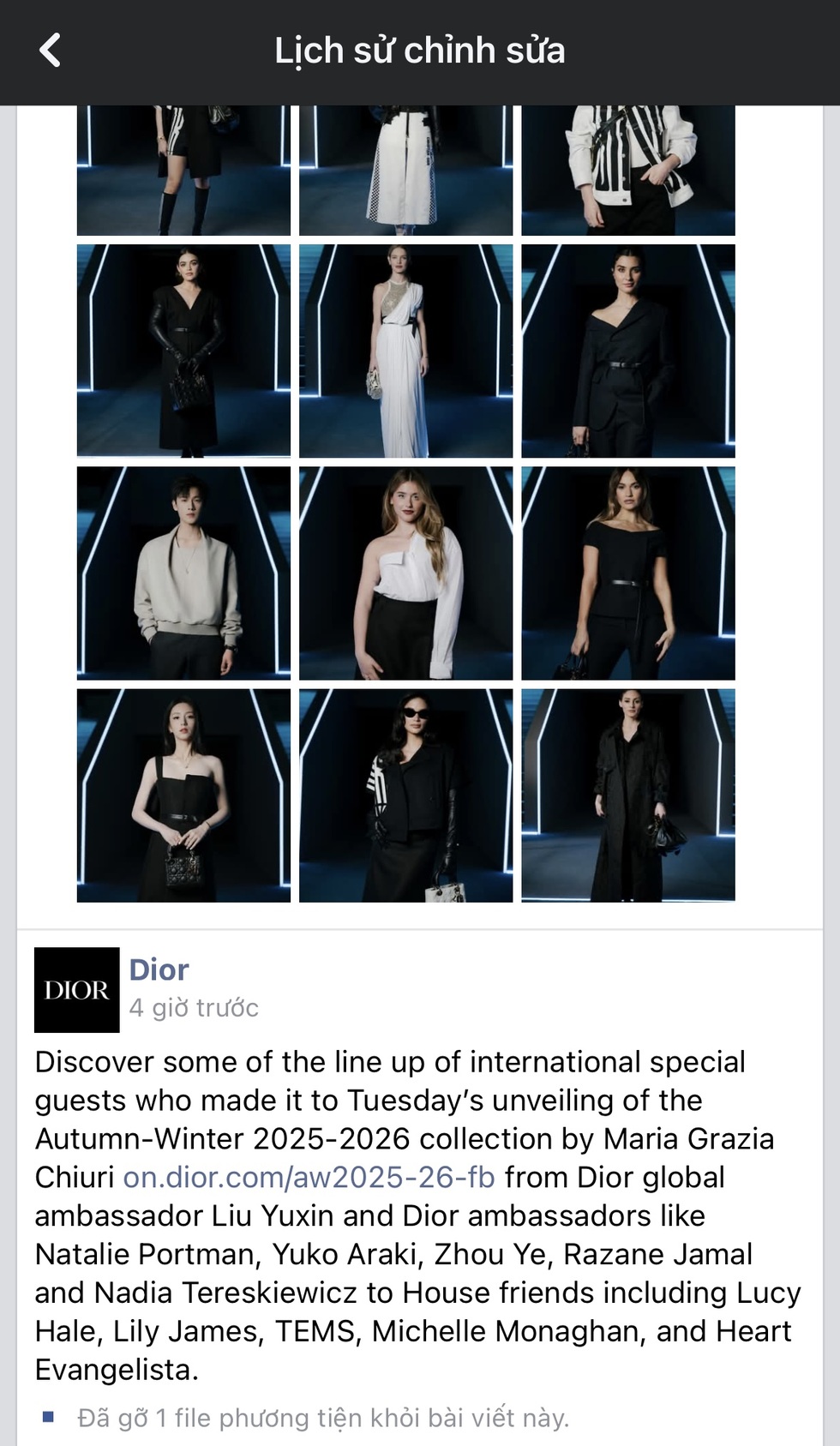 Trước Hoa hậu Thùy Tiên, Dior ứng xử thế nào với nghệ sĩ châu Á dính ồn ào? - 2