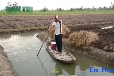 Đào đất thuê để có tiền đóng học phí và nuôi bà ngoại bệnh