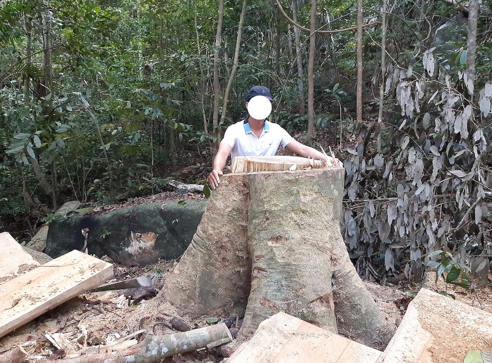 Khởi tố vụ phá rừng phòng hộ nghiêm trọng sau phản ánh của Báo Dân trí! - 4 Khởi tố vụ phá rừng phòng hộ nghiêm trọng sau phản ánh của Báo Dân trí! - 4