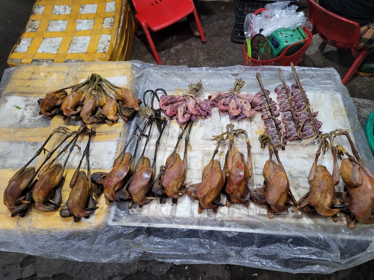 Chuyên gia: Các nước có chim bay trong phố, Việt Nam chim làm mồi nhậu - 5