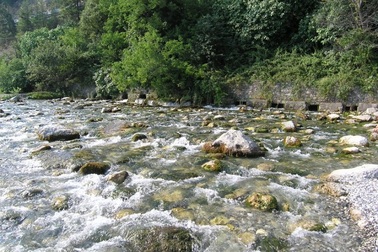 5 dòng sông ngắn nhất thế giới