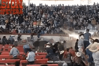 Kinh hoàng khoảnh khắc con bò đang biểu diễn thì lao vào đám đông khán giả