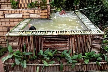 Tròn mắt xem “biệt thự” có bể bơi được xây bằng tay chỉ trong vài ngày!