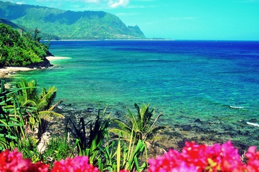 Nhanh tay đăng ký du lịch Hawaii miễn phí