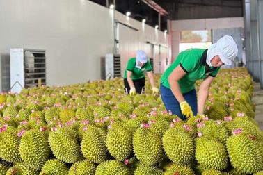 Rộng cửa cho hàng hóa Việt Nam thâm nhập vào thị trường UAE