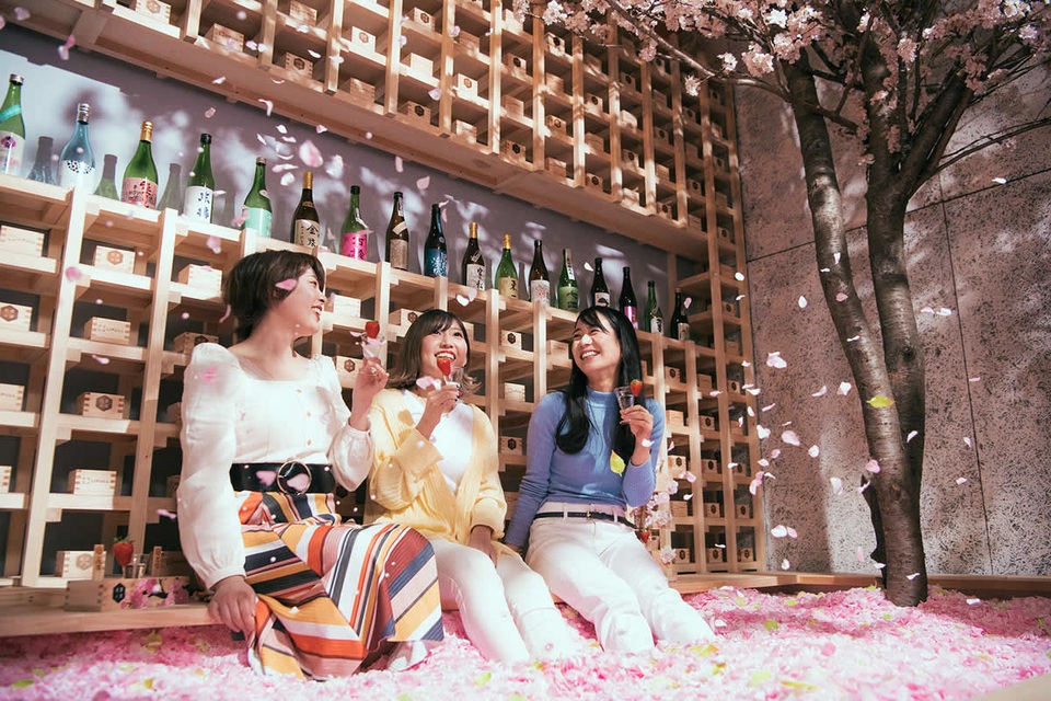 Ngâm mình trong 1,2 triệu cánh hoa sakura giữa lễ hội mùa xuân - 1 Ngâm mình trong 1,2 triệu cánh hoa sakura giữa lễ hội mùa xuân - 1