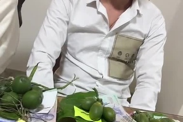 Tiền lễ trên mỗi đĩa cau tại nhà cô đồng Trương Thị Hương