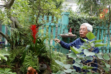 Người mẩn mê cây thuốc nam