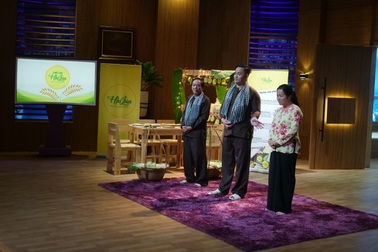 Bị 4/5 Shark từ chối, startup Hai Lúa vẫn được Shark Hồng Anh đầu tư nhờ ý chí khởi nghiệp bền bỉ