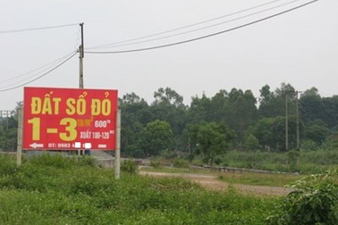 Khốn khổ vì mua đất Ba Vì "đón đầu" quy hoạch