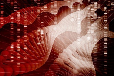 Một số loài giun được lập trình tự hủy diệt di truyền