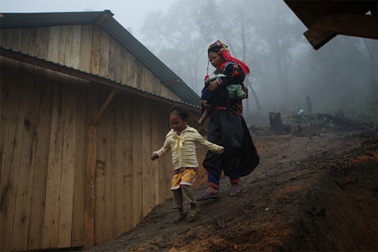 “Lá Vàng” dừng bước lang thang