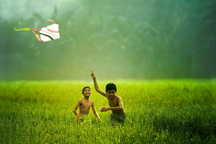 Lộc Trời giảm lãi 94% sau kiểm toán, chủ tịch nhận thù lao gấp 6 lần năm cũ