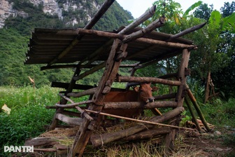 Nâng cao năng lực cán bộ làm công tác giảm nghèo